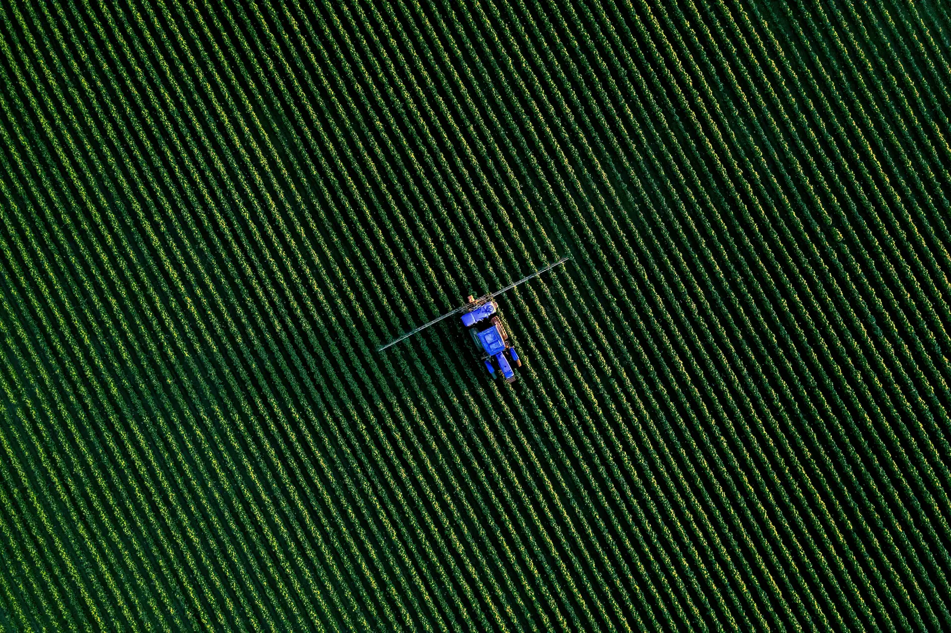 Aerial view of precision crop spraying across a field